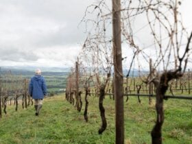 Vineyard walks through Fighting Gully Road Vineyard