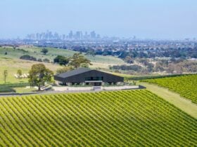 Building with vineyard in the foreground and city view in the background
