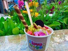 Froyo Fun Yogurt Shop Halls Gap