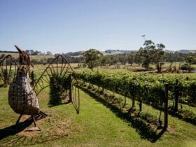 Loch Village Vineyard