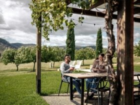 Winery lunch with a view Beechworth