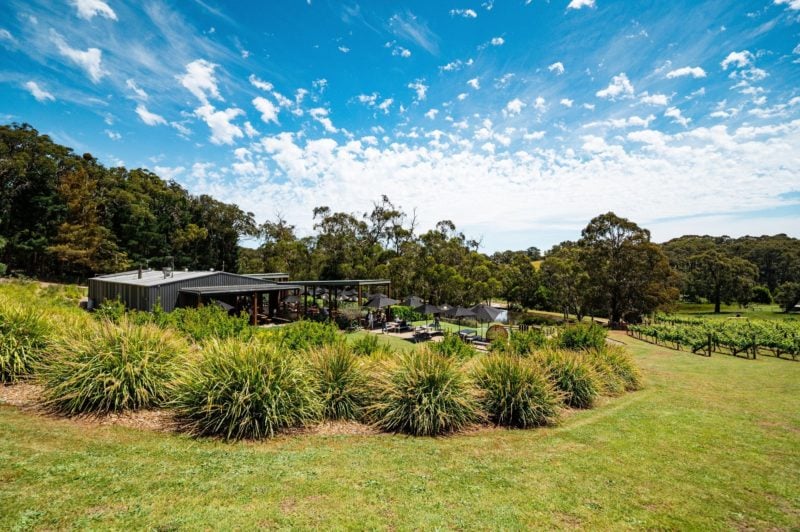 View of the farm at Green Olive at Red Hill
