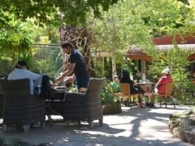 People sitting on seats in a garden area
