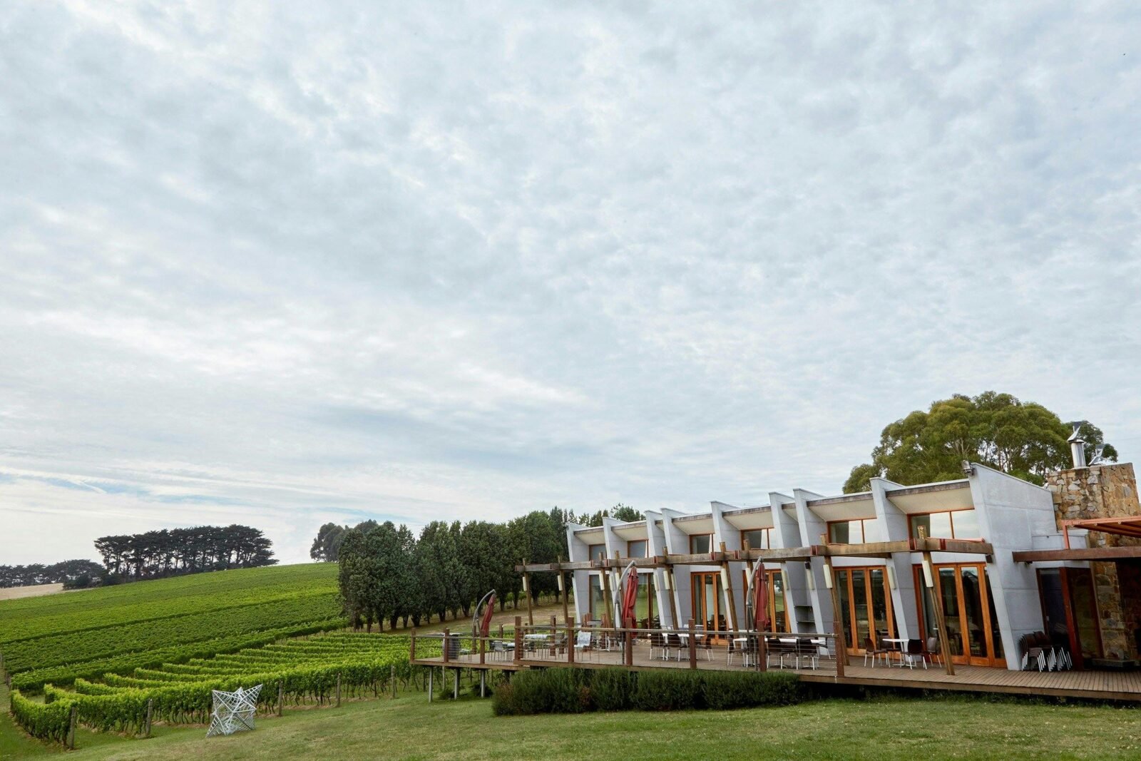 Exterior shot of Hogget Kitchen showing deck and vineyard
