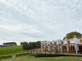 Exterior shot of Hogget Kitchen showing deck and vineyard