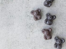 Jala Jala Koala Chocolates