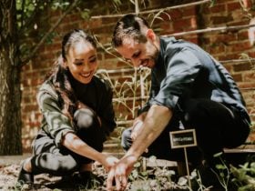 Head Chef Aaron Schembri Alongside, Restaurant Manager Risa Kadota