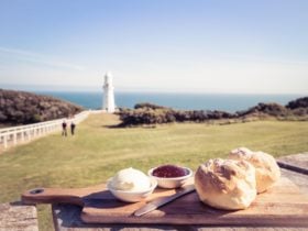 The best scones on the Great Ocean Road