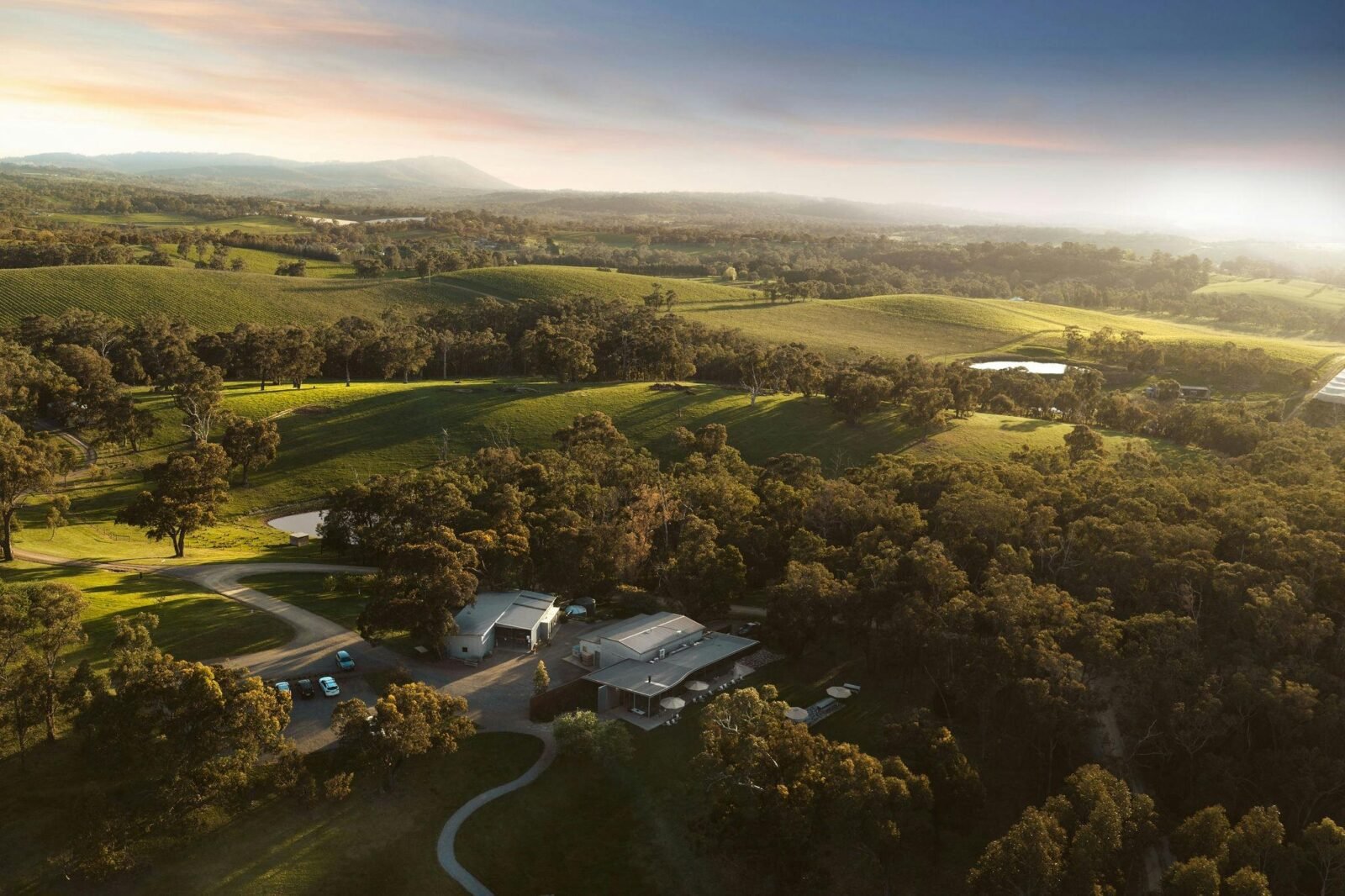 Aerial view of the Estate