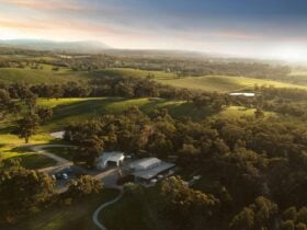 Aerial view of the Estate