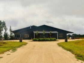 Driveway and Cellar Door entrance