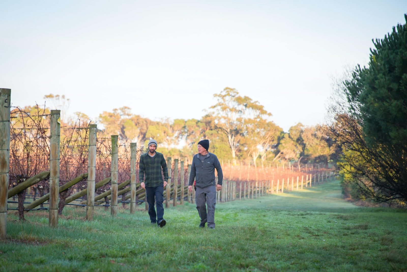 Richard and Jeremy walking through the winter vineyard