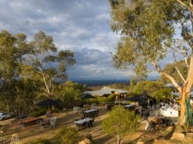Incredible views to the Victorian Alps from Morrisons Winery