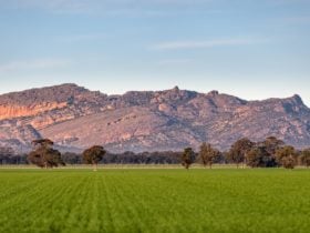 Mount Stapylton Range Laharum