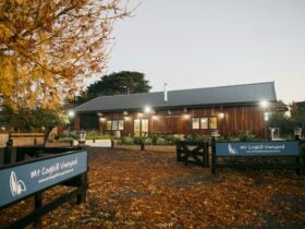 Mt Coghill Vineyard Cellar Door