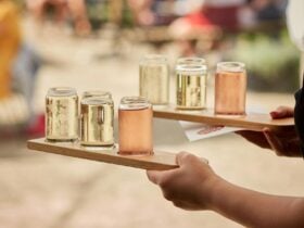 Cider Tasting paddles