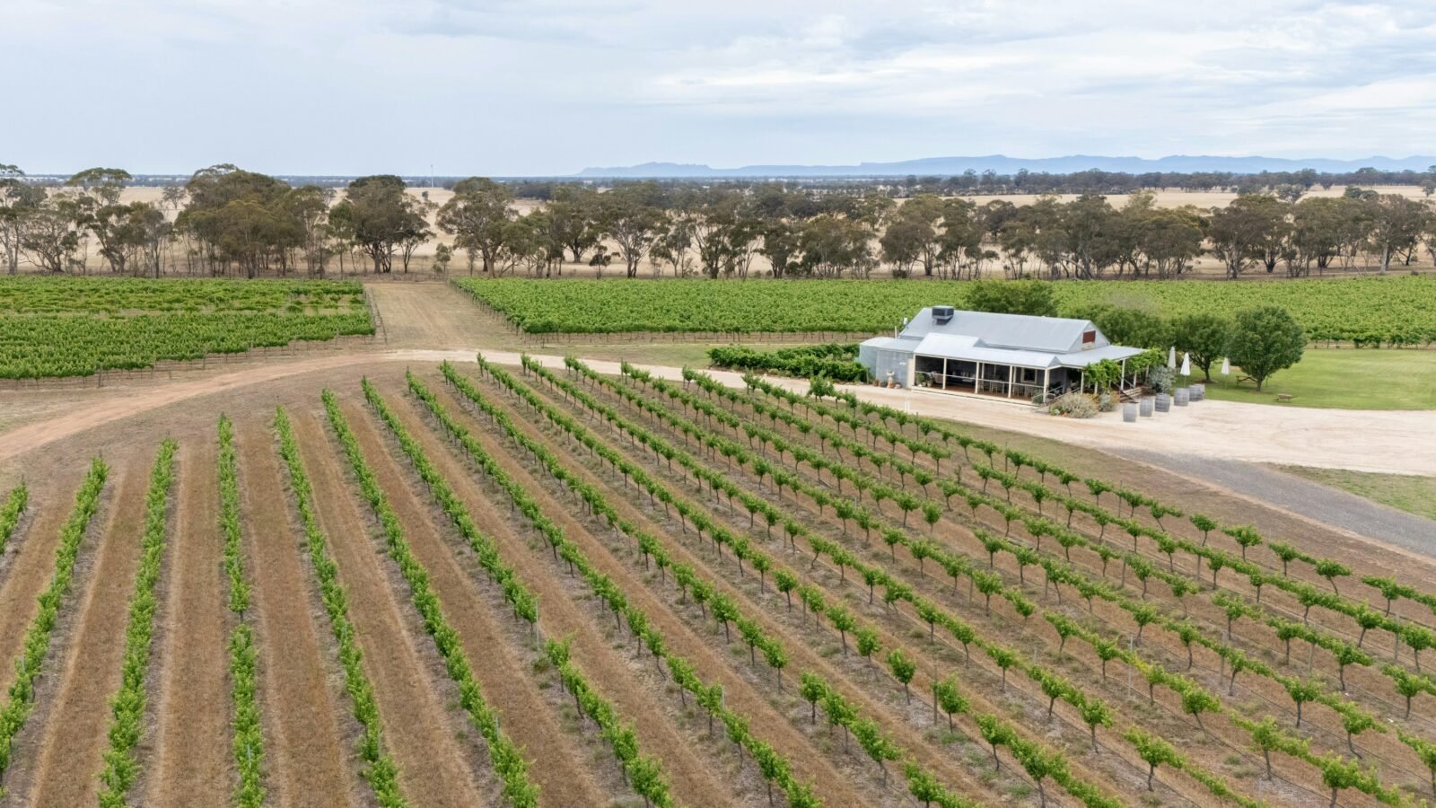 Aerial View of a winery and cellar door building