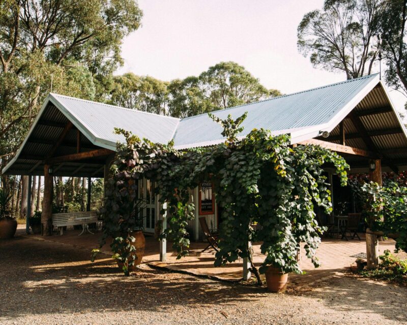 Cellar Door