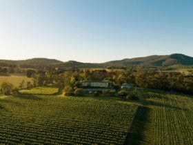 Aerial view of Pimpernel Vineyards and winery