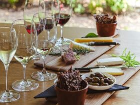 A line of wine tasting glasses and cheese tasting