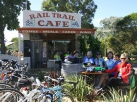 Ladies enjoying an active day out.
