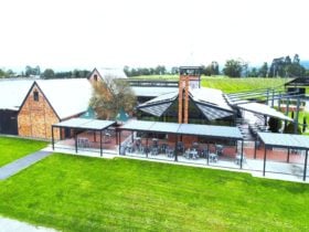www.rochfordwines.com.au