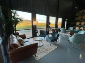 Sanguine Estate Cellar Door Lounge area with spectacular vineyard views