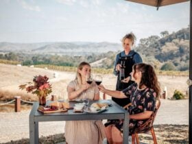 Wine lunch on the terrace