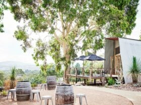 Seville Estate exterior and deck area