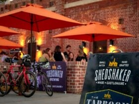 beer garden at Shedshaker Taproom