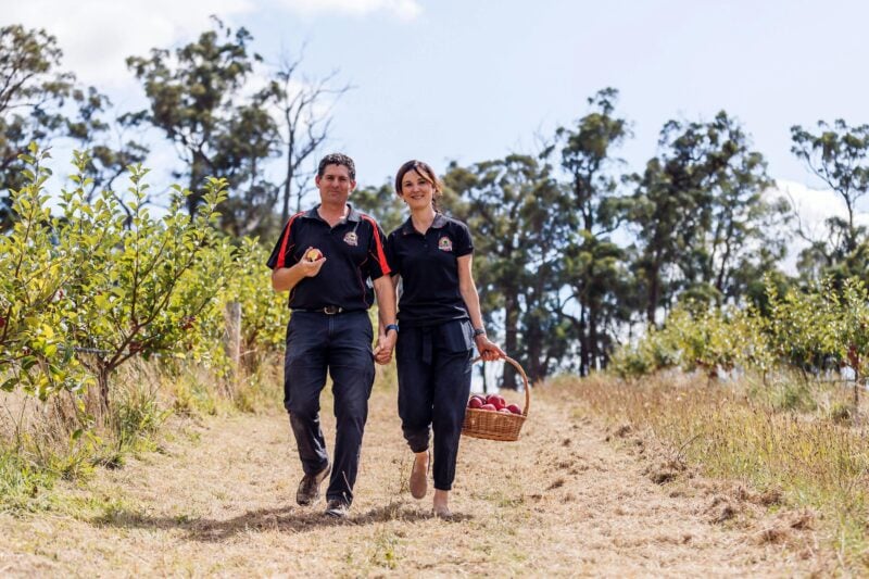 Man and woman picking apples woman is carrying a basket of apples
