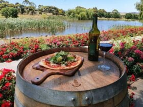 pizza sunday