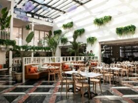 Atrium venue with seating, draping plants and glass ceiling