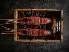 Lobster