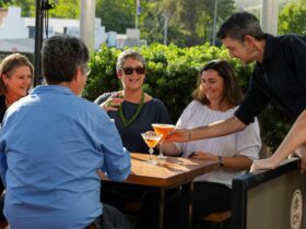 Sitting outside in one of the courtyard areas, you can bring your dog and enjoy drinks and a meal