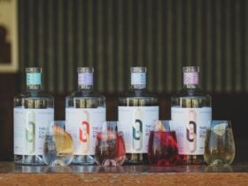 Three Chain Road Gin
