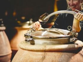 Our Terracotta Amphora