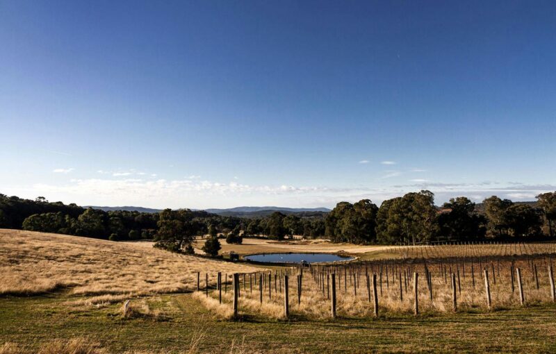 VS & B Wines Beechworth Vignerons