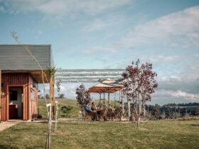 Willem Kurt Cellar Door