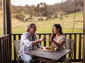 Wimmera Hills Winery