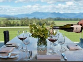Restaurant view overlooking Yarra Ranges