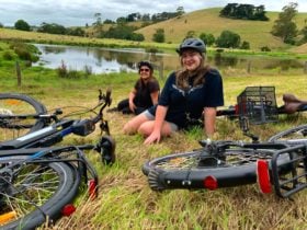 Stop over in Koonwarra