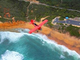 Adventure Flight Co