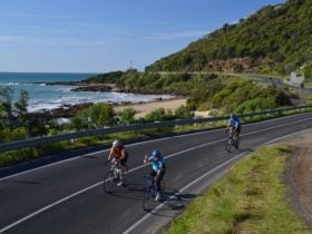 AllTrails Bicycle Tours Great Ocean Road Cycle Tour