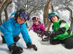 Mt Buller Day Tours