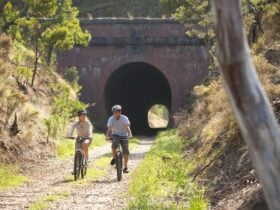 Cycling through the Cheviote Tunnel on the Great Victorian Rail Trail.