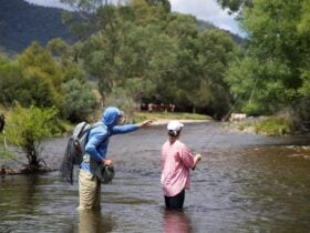 Guided Fly Fishing