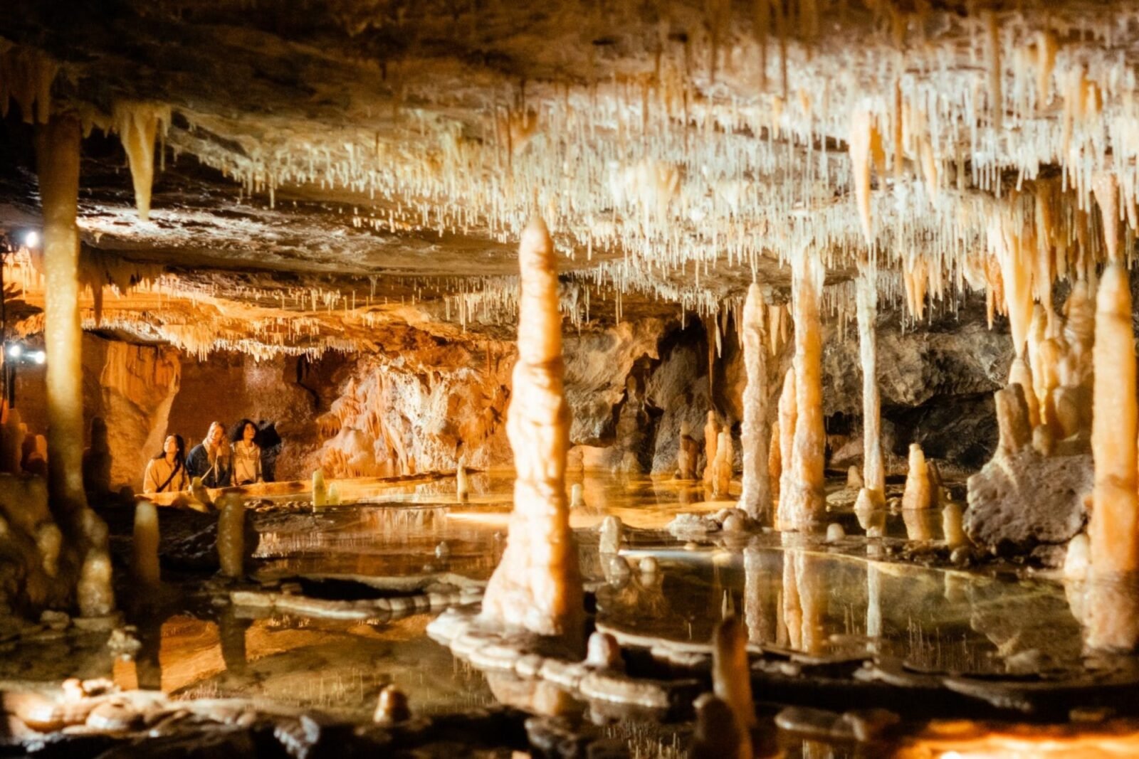 Buchan Caves Guided Tours