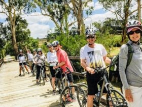 Cycling along the Warburton Rail Trail