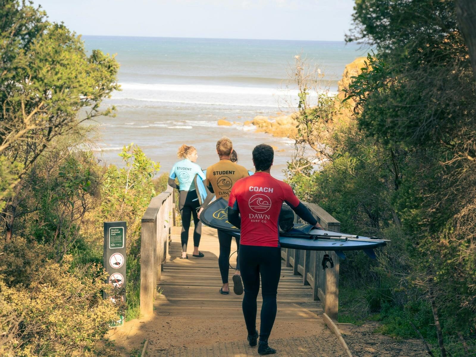 A Surf Class walking down the steps along a footpath through the sand dunes. At Torquay and Anglesea